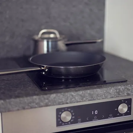 Daire Leonart Living 54 Graz